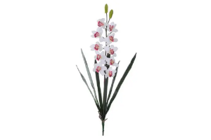 H.ORQUIDEA CYMBIDIUM CETIM X10 BRANCO REF-00801004