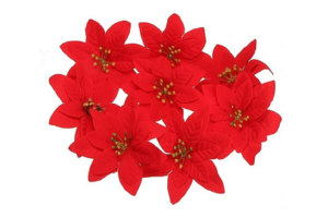 B. BICO PAPAGAIO AVELUDADO X5 VERMELHO 31CM REF-25269001