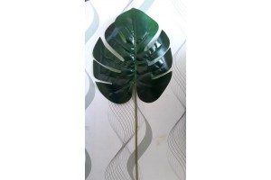 C. FOLHA COSTELA DE ADAO REAL TOQUE VERDE 58CM REF-41109001