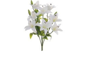 BQ LIRIO DO CAMPO X10 BRANCO REF-50204008