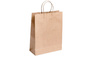 SACOLA DE PAPEL 2,99 UNIDADE REF-SK2234-15