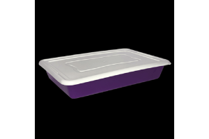 BANDEJA COM TAMPA COLOR REF-331450